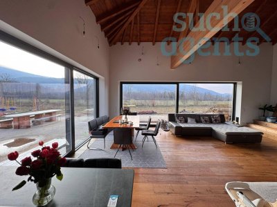 Exklusiver Neubau: 50er Ziegel, Solarthermie, große Fensterfronten