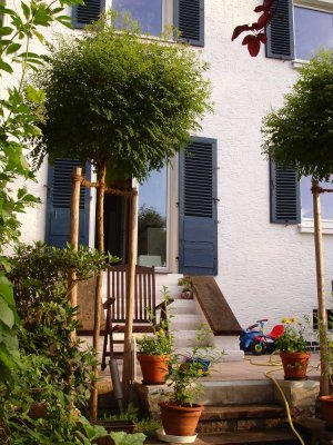 **RARITÄT***Renoviertes RMH von privat ohne Provision