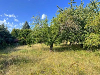 GROßZÜGIGES GRUNDSTÜCK 2.187 m² MIT DHH – Handwerkliches Geschick gefragt, sofort bezugsbereit!