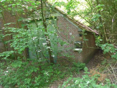 riesiges Grundstück mit Altbestand