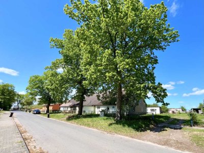 ++MFH als Kapitalanlage und Selbstnutzung möglich++