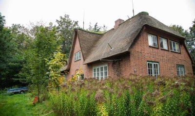 Husum: Herrschaftliches, reetgedecktes Friesenhaus auf 22.500 m² parkähnlichem Grundstück