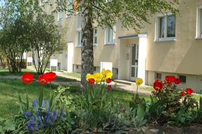 Ruhig und doch zentral - gemütliche 3-Raum-Wohnung Pirna Sonnenstein