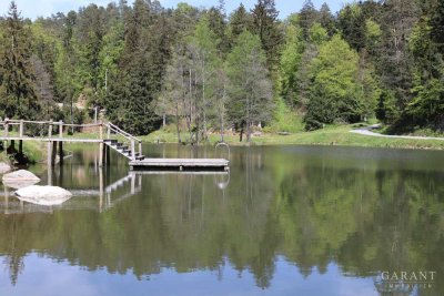 Sommerfeeling am See