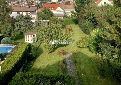 In Mattersburg Zuhause...