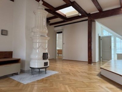 Exklusive und hochwertige Altbauwohnung in zentraler Lage: Großzügig, lichtdurchflutet, speziell 3-6 Zimmer zum Wohnen aber auch als Büro geeignet, mit Wintergarten innenhofseitig