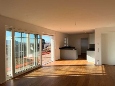 Erstbezug - Moderne Einliegerwohnung mit großer Südterrasse in Ohlsbach