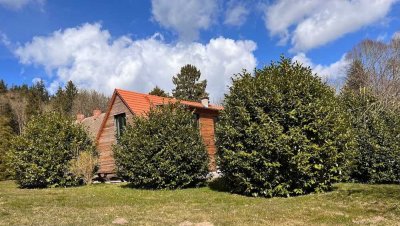 Landsitz unter Reet - Alleinlage auf 20000 m² nahe Ralswiek-Rügen