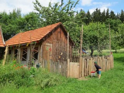 4-Zimmer Erdgeschosswohnung - Idyllisches Wohnen auf ehemaliger Hofstelle