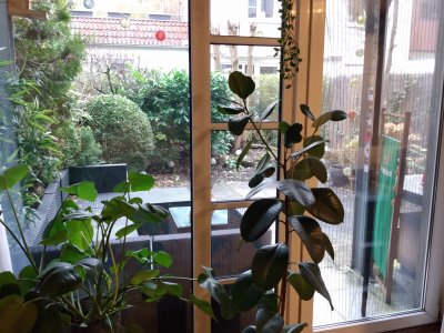 2-Zi.-Wohnung, Gartenterrasse, Top-Lage, Tiefgaragenstellplatz